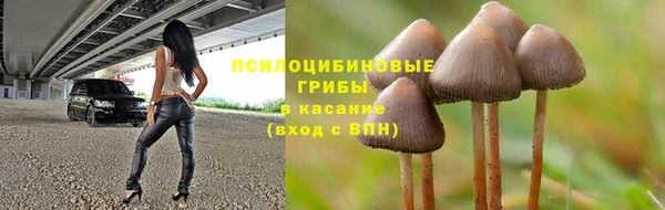 ECSTASY Покачи